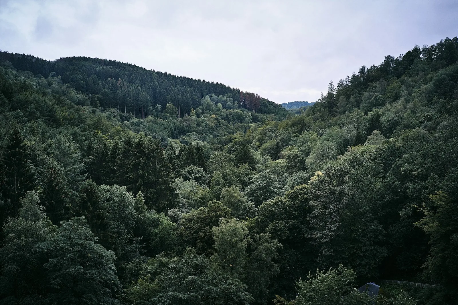 Penzion Pod Hájenkou – Valeč